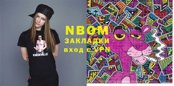 шишки Магас