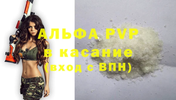 шишки Магас