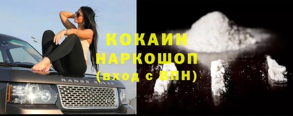 шишки Магас