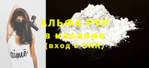 шишки Магас