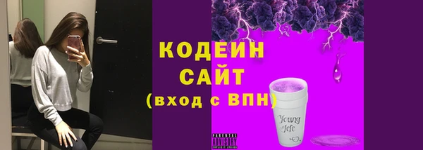 шишки Магас