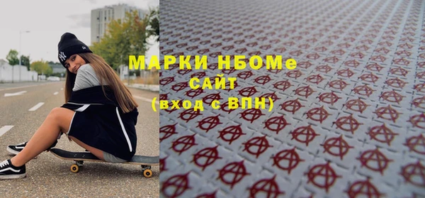шишки Магас