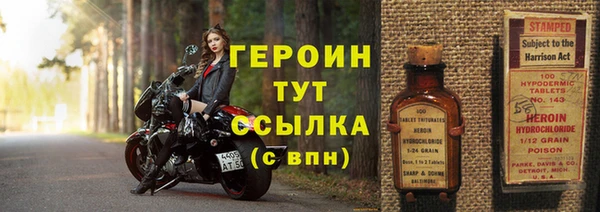 шишки Магас