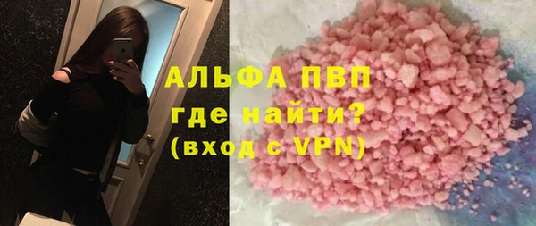 шишки Магас